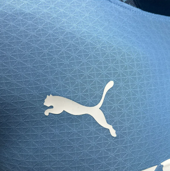 Manchester City 24-25 Home Stadium Jersey - Player Version