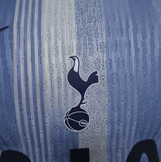 2024/2025 Tottenham Away Football Shirt Player Version