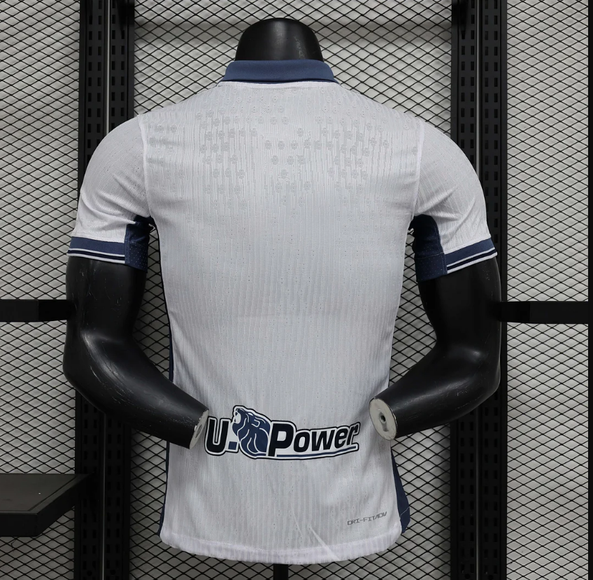 2024/2025 Inter Milan Away Football Jersey - Player version