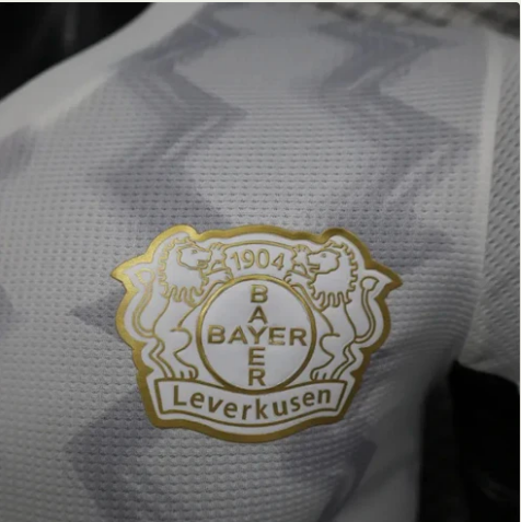 2024/25 Bayern Leverkusen away Jersey - Player Version
