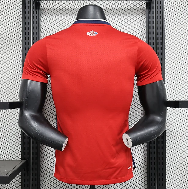LOSC Lille 24/25 Home Kit - Player version